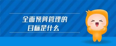 全面預(yù)算管理的目的是什么？